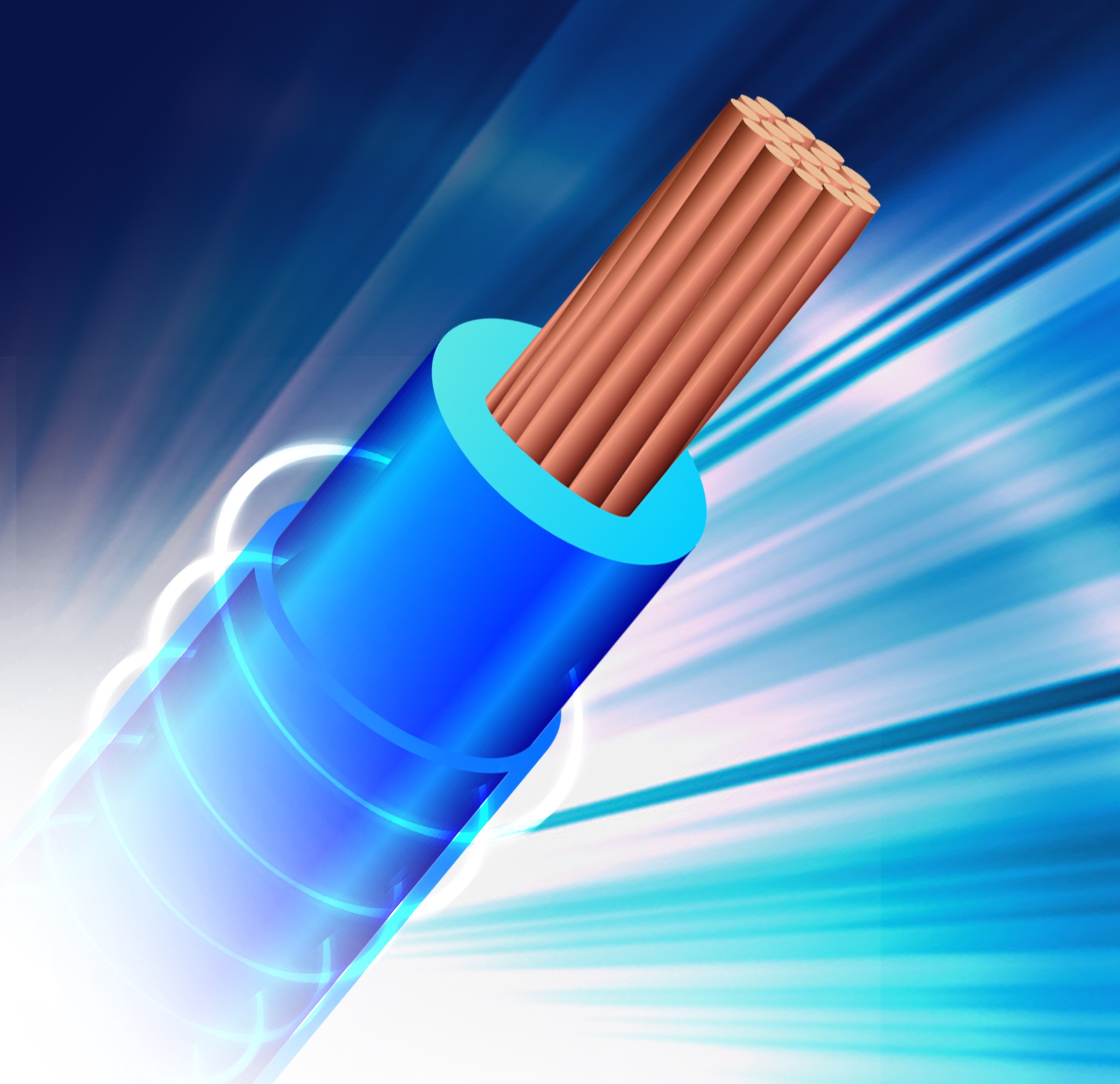 聚氯乙烯絕緣無護(hù)套電纜電線